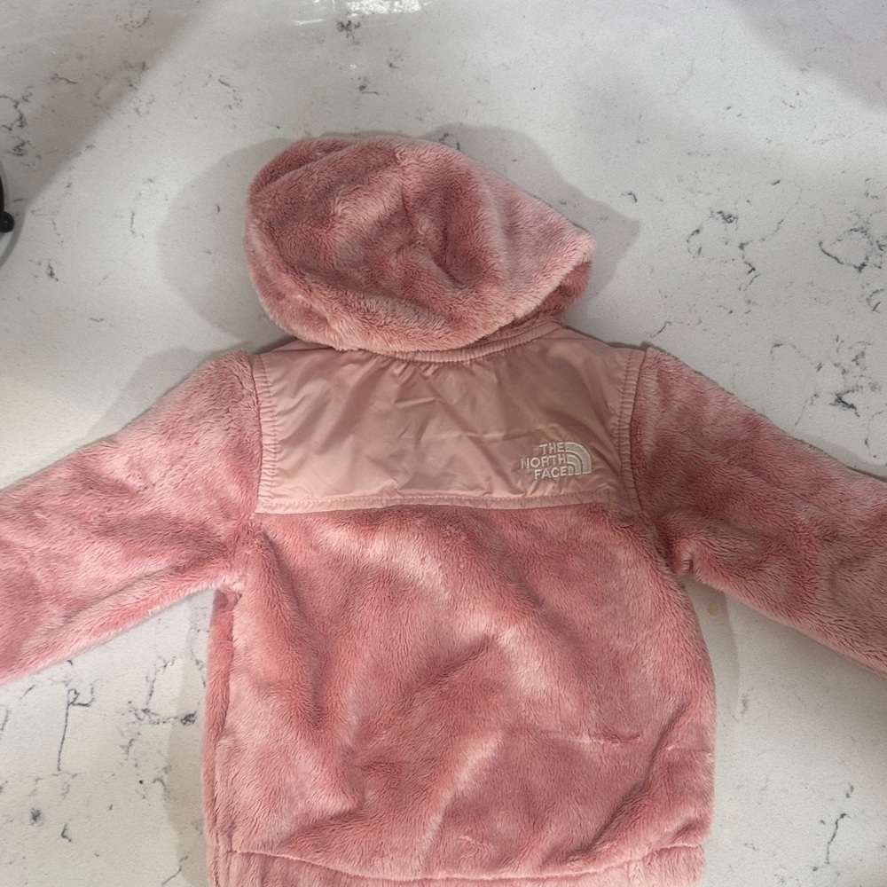 The North Face Kids Blush Fleece Hoodie size 6-12 months - Picture 3 of 4